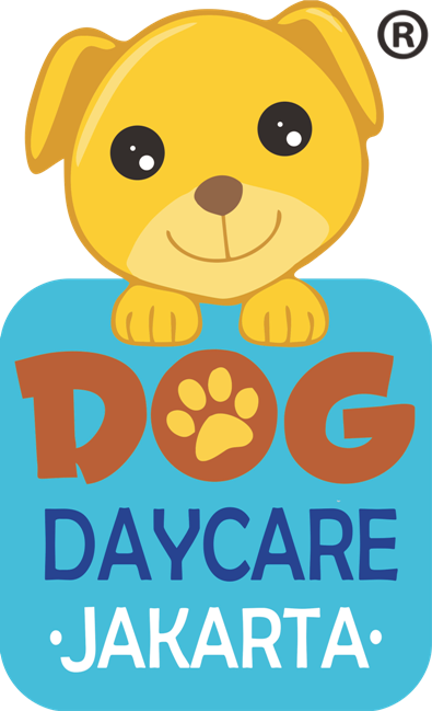 Dog Daycare Jakarta